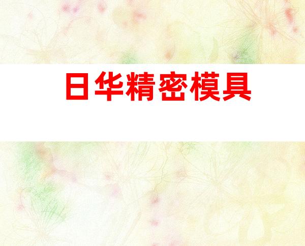日华精密模具